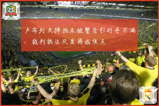 卢布列夫摔拍未被警告引对手不满,裁判执法尺度再成焦点