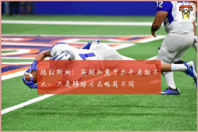 格拉斯纳:英超和意甲水平差距不大,只是踢球方式略有不同